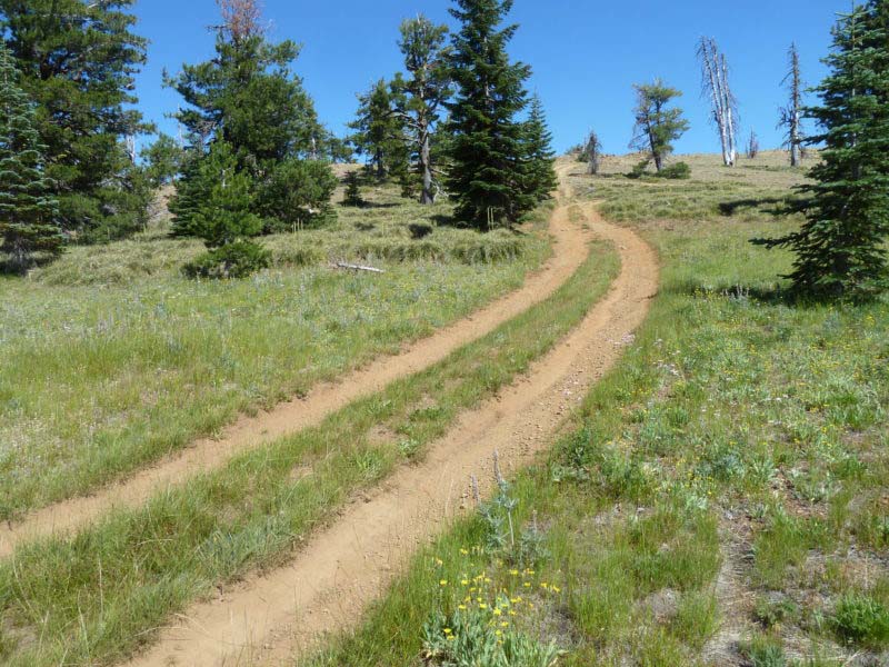 OHV monitoring